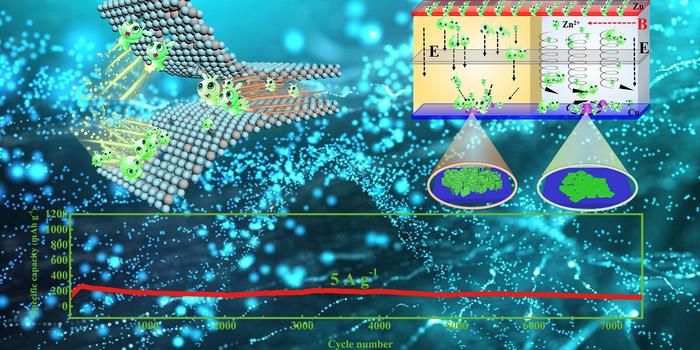 Scientists Develop a High-energy-density and Ultralong-life Aqueous Zinc-ion Battery