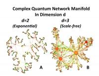 Complex Quantum Network Manifold
