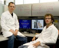 Arturas Ziemys and Alessandro Grattoni,   	 University of Texas Health Science Center at Houston
