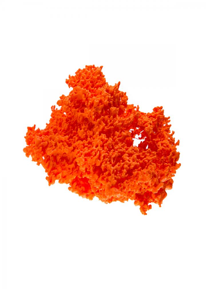 3-D-printed Astrocyte