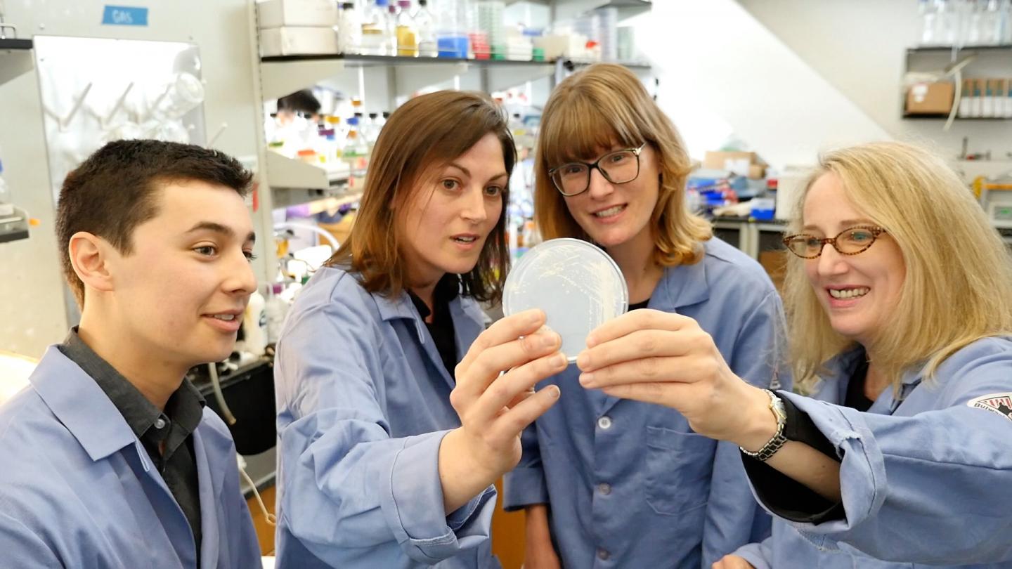 Modifying Baker's Yeast for Low-cost Detection of Fungal Pathogens (10 of 12)