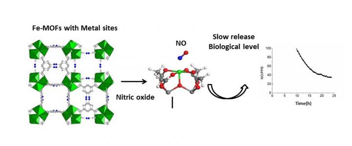 Schematic Representation of the Use of Porous Iron Carboxylate for the Controled Delivery of Nitric 