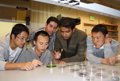 Banerjee's Research Team