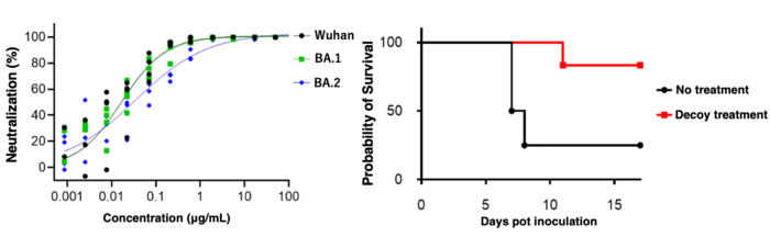 Fig.2