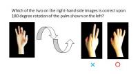 Figure 1. An example of mental manipulation task of body part imagery.