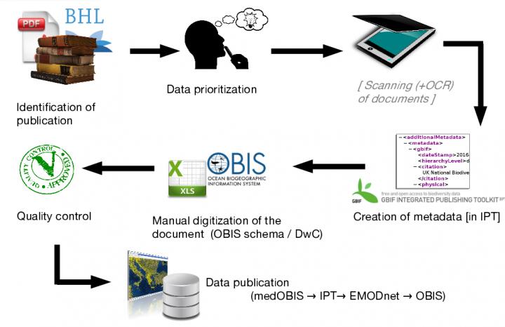 Manual Data Extraction from Historical Literature