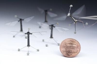 Robotic Insects and Coin for Scale