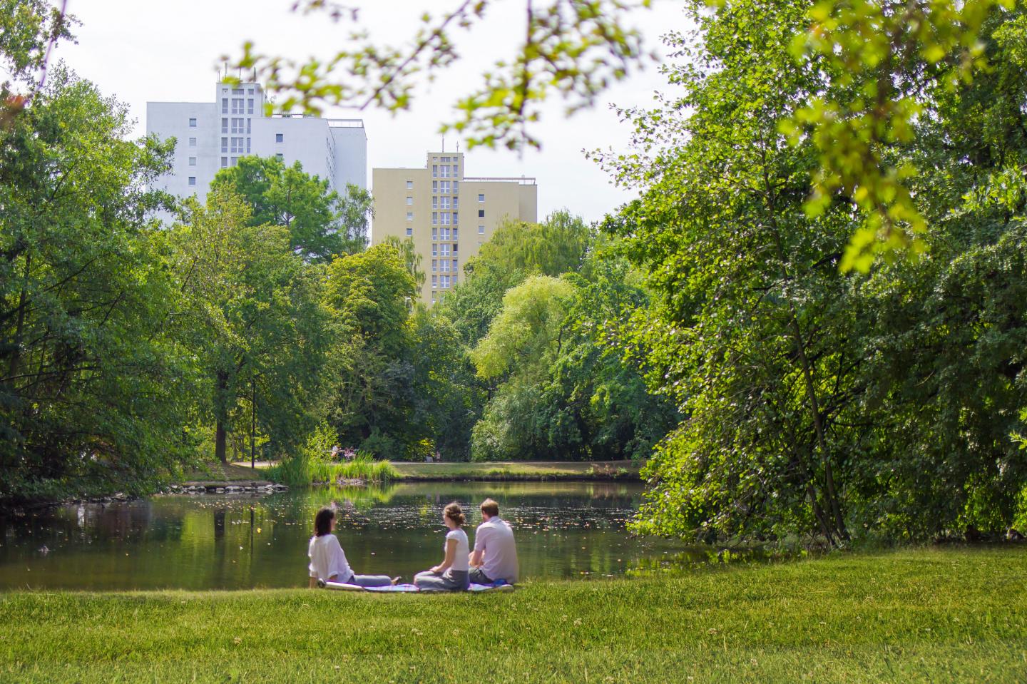 Urban nature