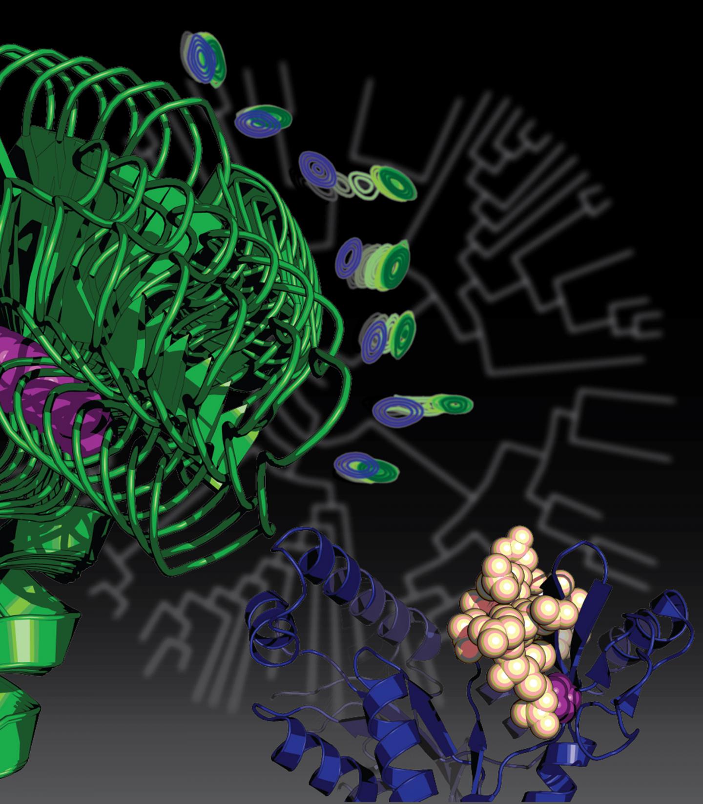 How a Mutation Changed a Protein and Life's Course
