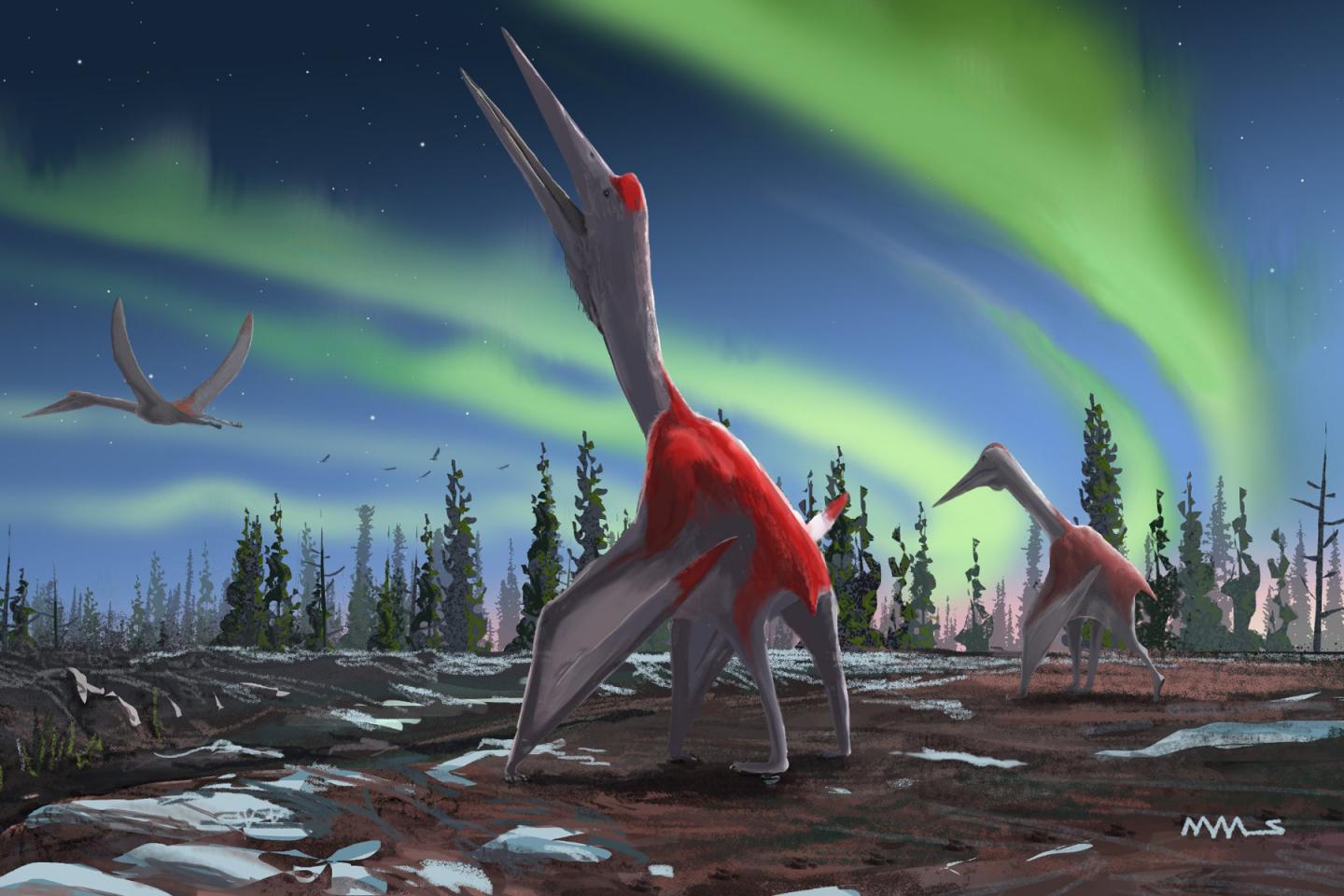 Mini pterosaur from the age of flying giants