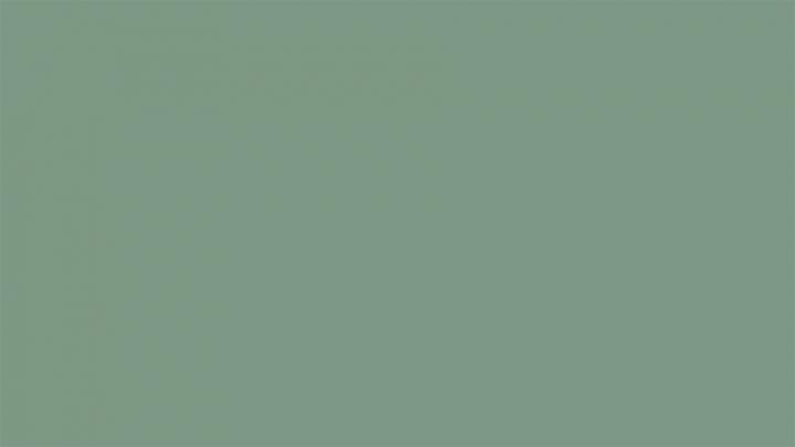 Parasite Strain-Specific Factors Determine Malaria Disease Severity