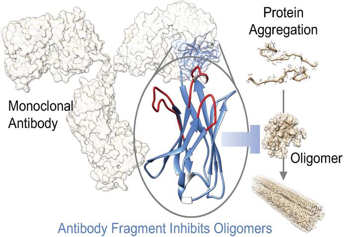 Aprile Antibody Discovery Platform