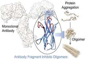 Aprile Antibody Discovery Platform