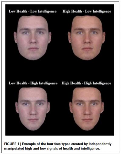 Example of the 4 Face Types