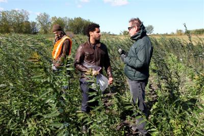 Mohamed Hijri, University of Montreal