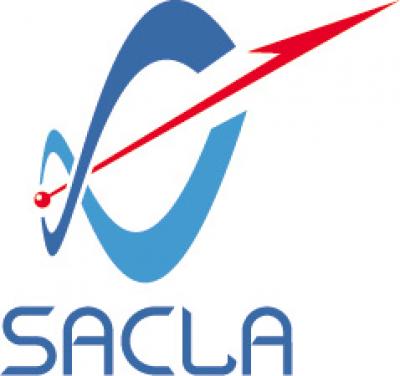 SACLA Logo