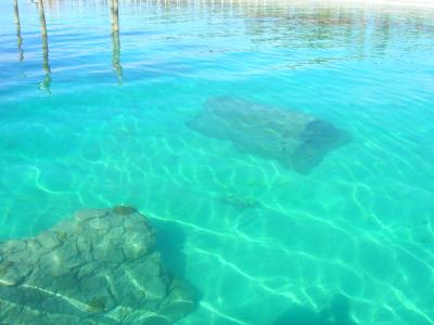 Artificial Reef at the BBC