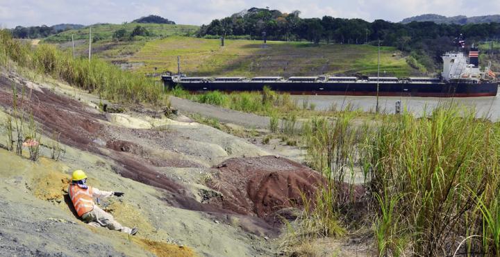 North America's Oldest Monkey Fossil