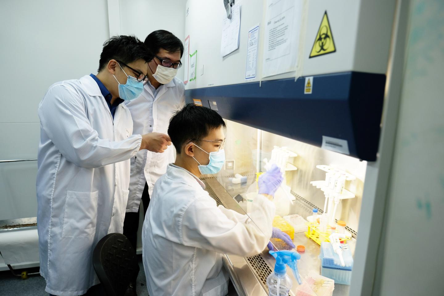 'Trojan Horse' Approach