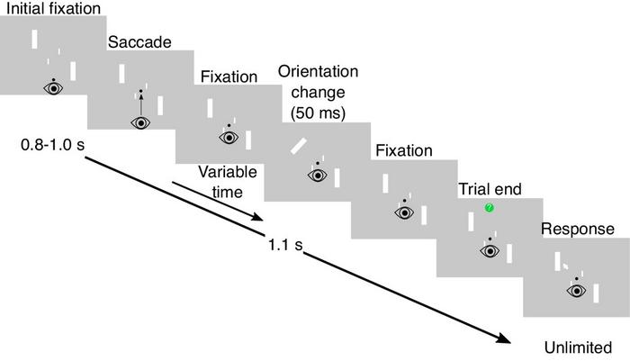 How do we process visual information quickly in complex environments?