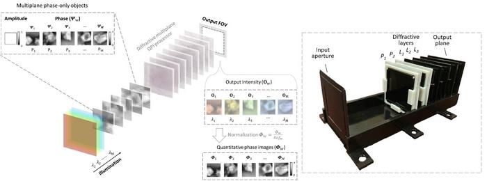 UCLA researchers report a new method for quantitative phase imaging of a 3D phase-only object using a wavelength-multiplexed diffractive optical processor.