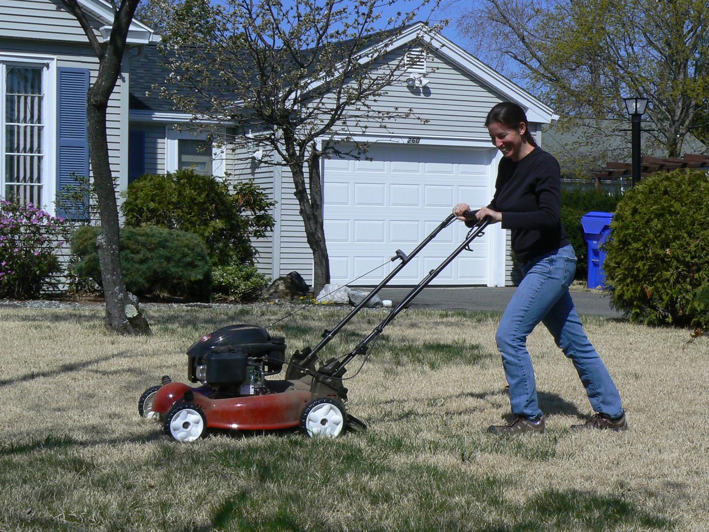 Lerman Mowing