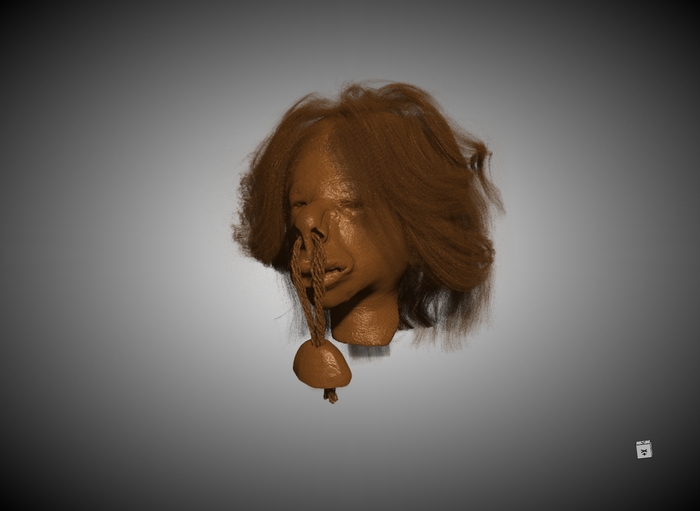 3D rendered image of the micro-CT scan of the tsantsa.