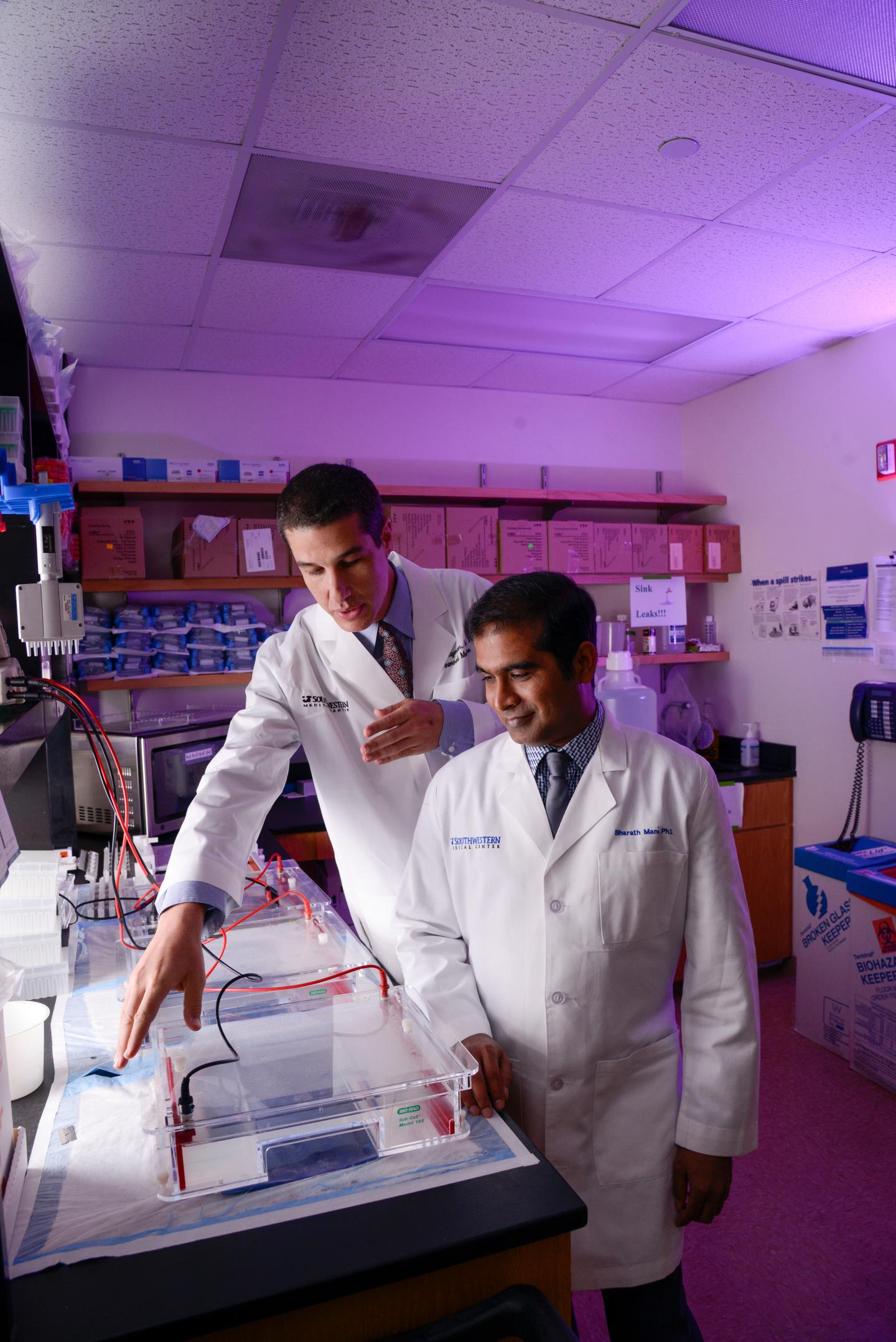 Drs. Zigman and Mani