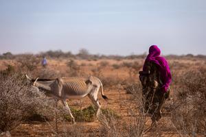 Fleeing drought, vulnerable populations face - Vimarsana News