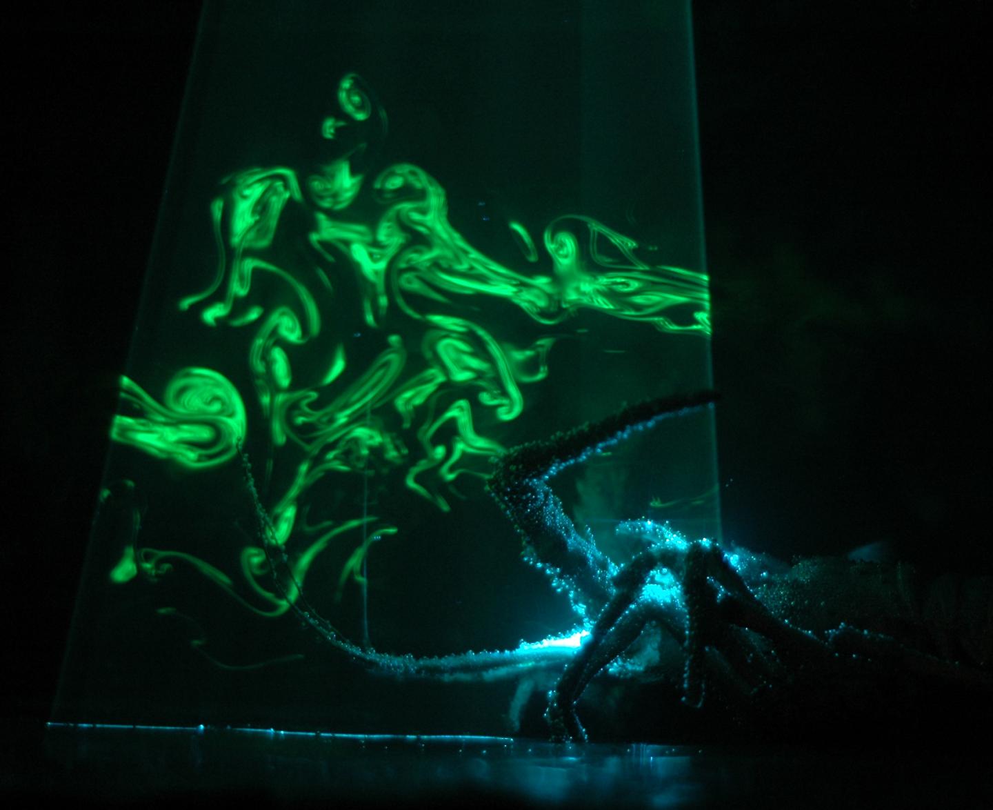 The Projects Will Explore Fundamental Mysteries in Brain Science