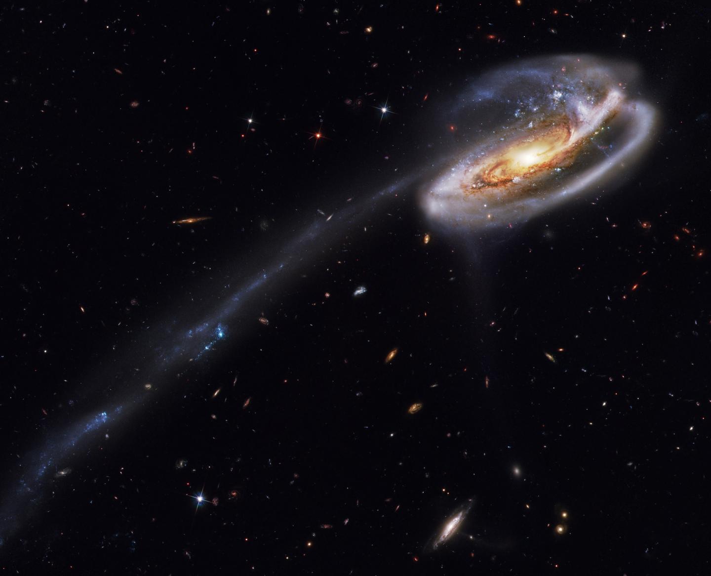 Tadpole Galaxy