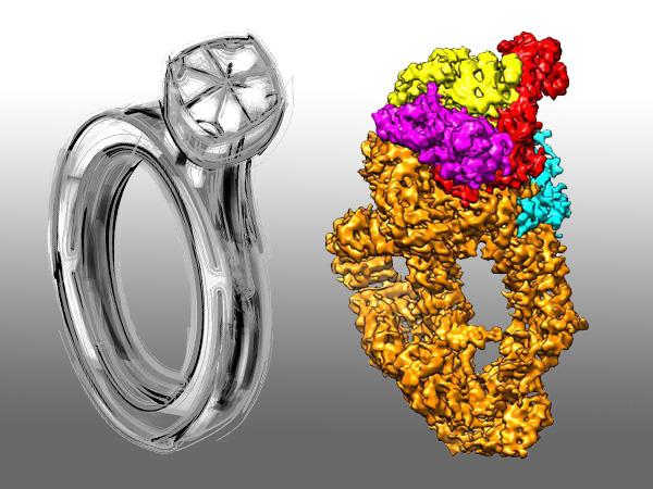 NuA4 cryo-EM Structure