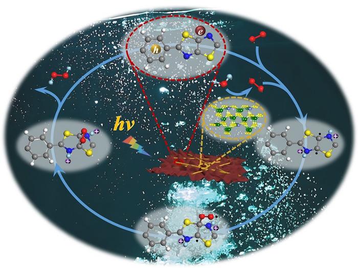 A noteworthy advancement in the form of a S-scheme heterojunction involving a D-A conjugated polymer for efficient overall photocatalytic H2O2 production