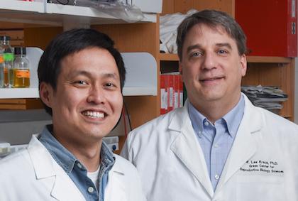 Drs. Ryu and Kraus, UT Southwestern Medical Center 