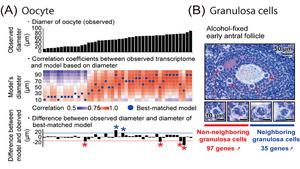 Figure 3.Correlation between Follicle Morphology and Transcriptome Analyzed with DRaqL