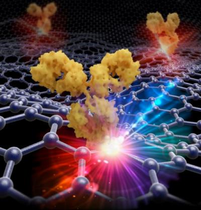 Mid-Infrared Graphene Molecule Sensor