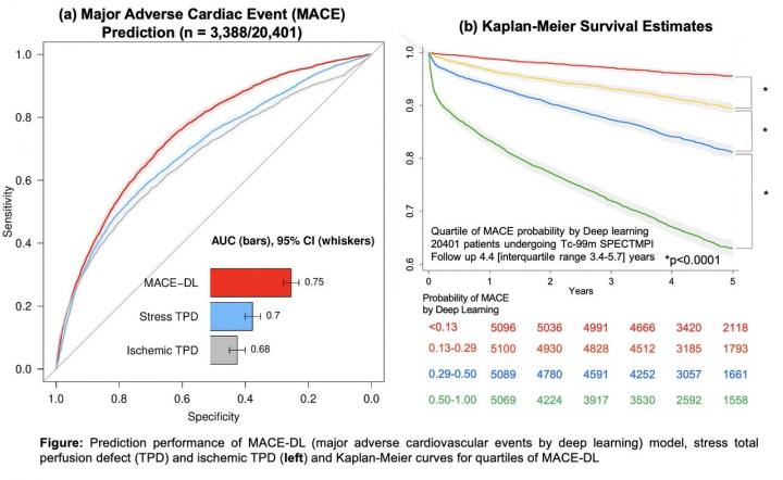 Prediction performance of deep learning