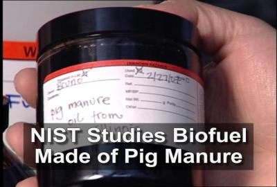 NIST Chemists Get Scoop on Crude 'Oil' from Pig Manure