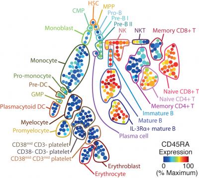 A New and Improved Way to Sort Cells?