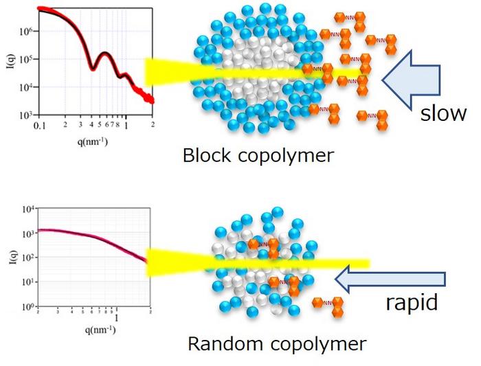 The impact of block and random copolymer micelle structures on dye solubilization and drug dispersion