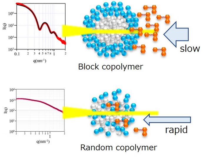 The impact of block and random copolymer micelle structures on dye solubilization and drug dispersion