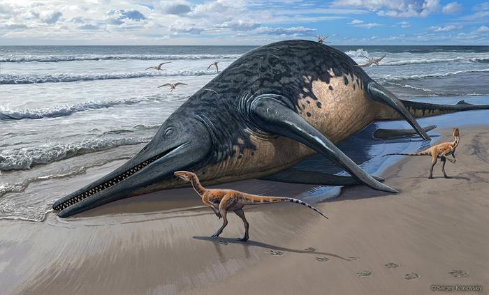 The last giants: New evidence for giant Late Triassic (Rhaetian) ichthyosaurs from the UK