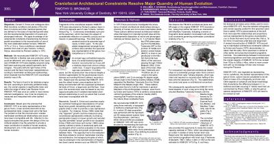 Craniofacial Architectural Constraints Resolve Major Quandry of Human Evolution