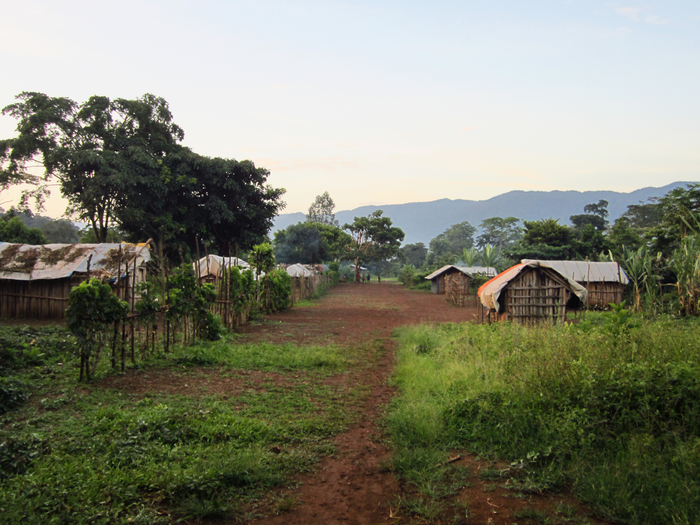 How the Transition to Agriculture Affects Populations in the Present Day