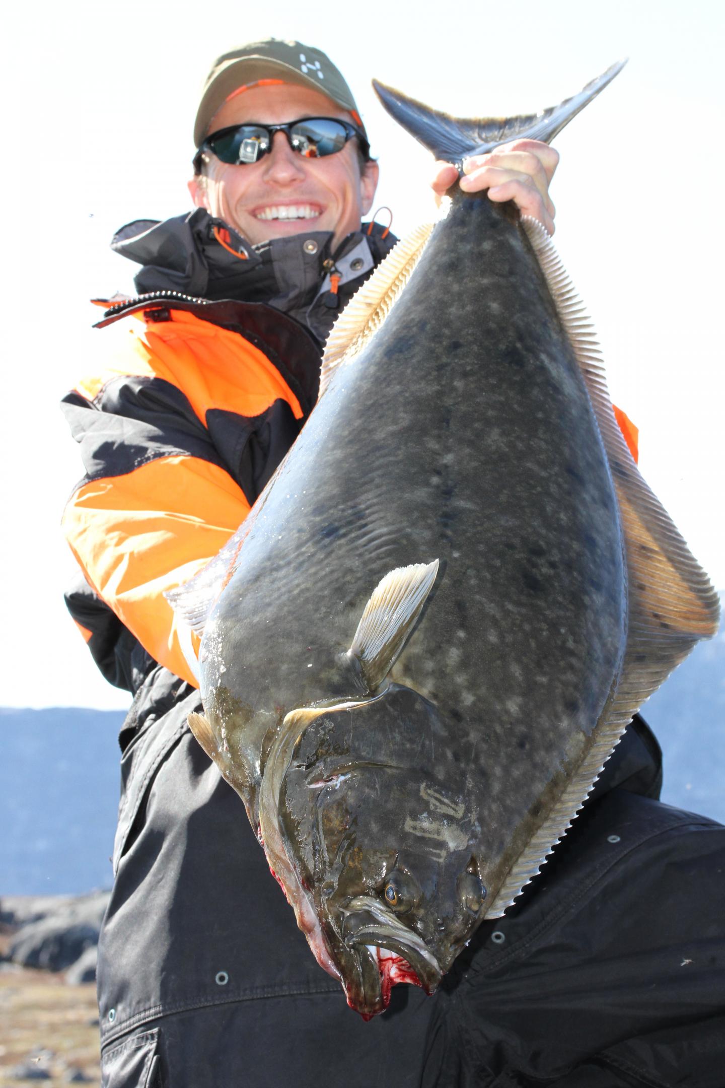 Atlantic Halibut