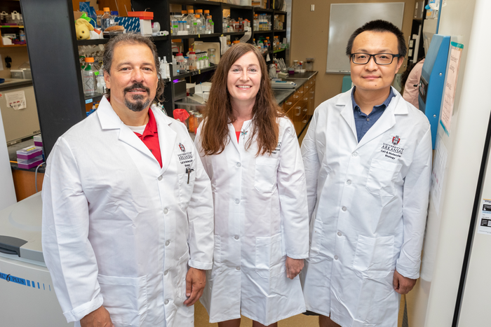 Ceballos Evans-White Zhang.jpg