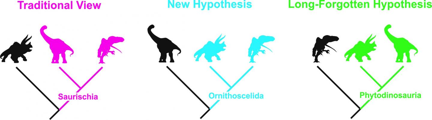 The Three Possible Trees of Dinosaurs