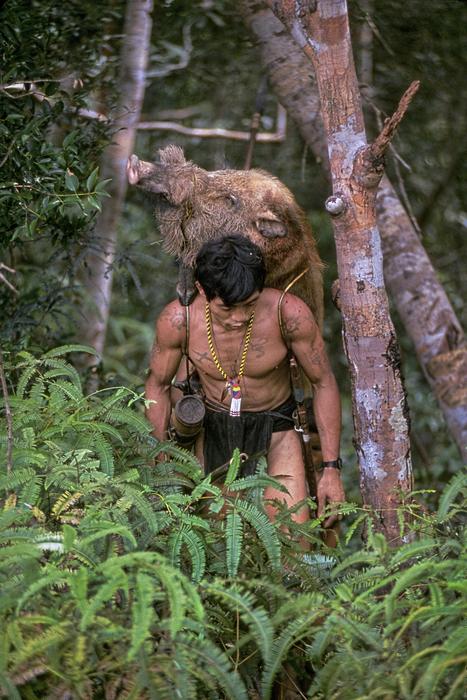 Man Carrying Pig