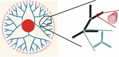 Biomimetic Materials Design