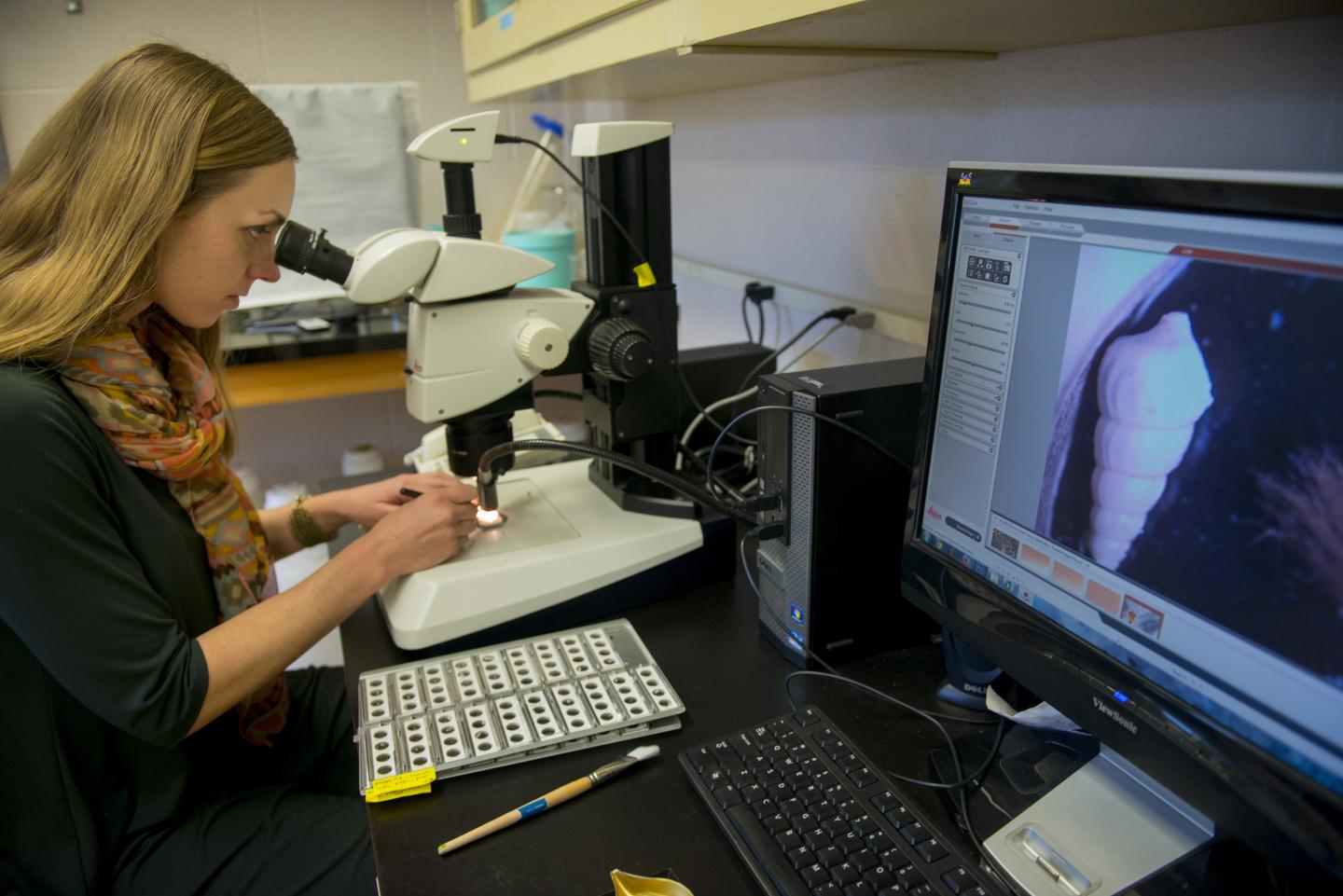 Sarah Moffitt In The Lab